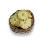 آناناس طبیعی خشک