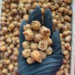 انجیر متوسط اقتصادی